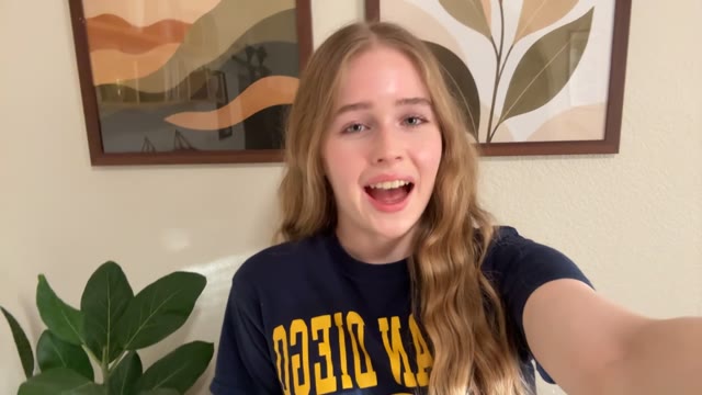 Guide video preview